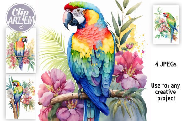 Download Tropical Parrot 4 JPEG Bundle Wall Art - Wall art Collection